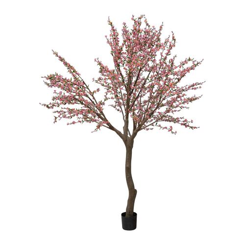 Giant Cherry Blossom Tree  2.4 TC139