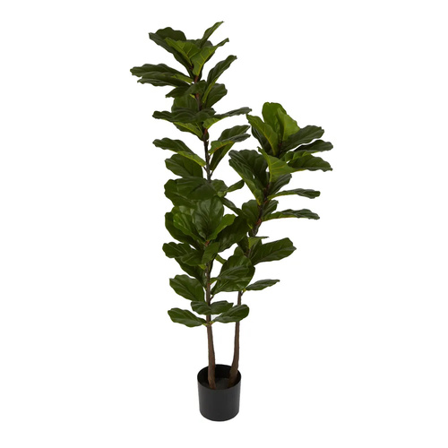 Fiddle Leaf Tree TCFID16859