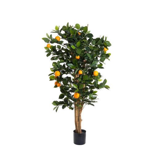 ORANGE TREE TCORA1026