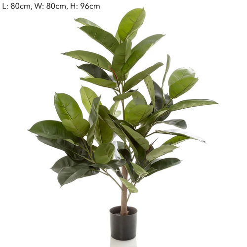 Rubber Plant Tree w/58 lvs TCRUB9658