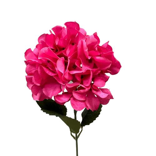 Hot Pink Hydrangea TH0028-HPK