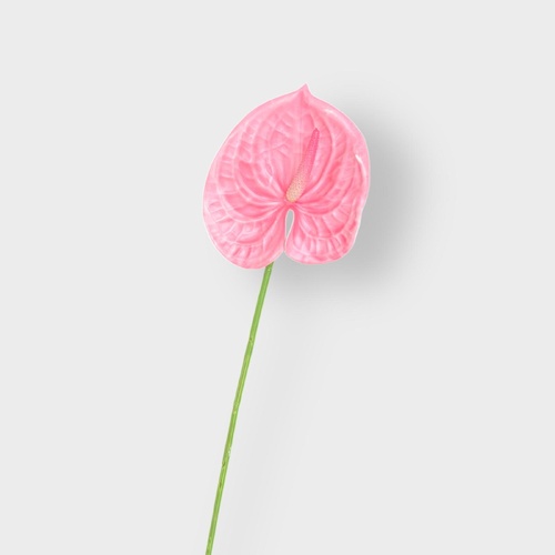 Real Touch Pink Anthurium TH0659-PK