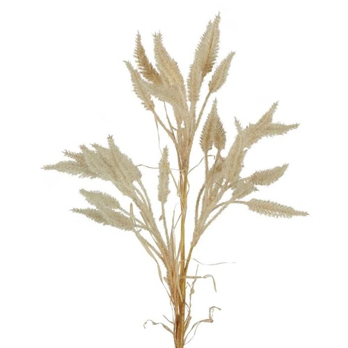Faux Dried Wheat Grass Stem W109CR