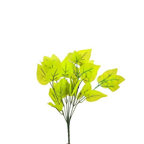 Neon Pothos Spray XB001