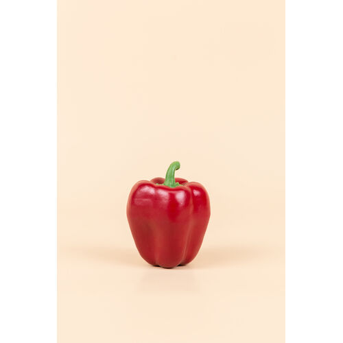 Capsicum YK0003-RED