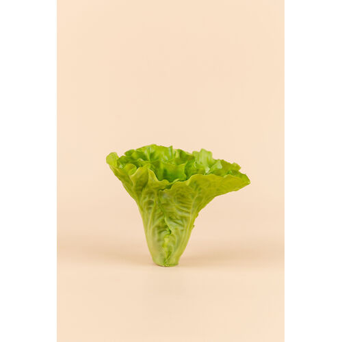 Lettuce YK0010-GRN