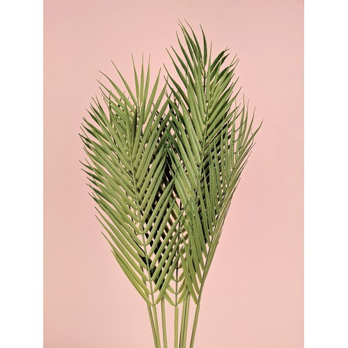 Palm Leaves Bunch AL028-grn