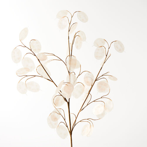 Lunaria Spray FI8517IV