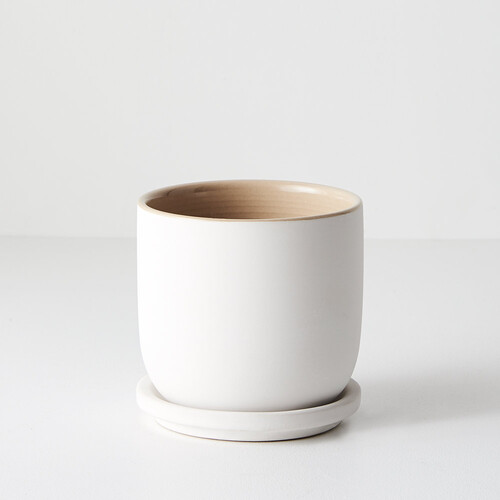 Cavo Pot w/saucer  FI8668wh