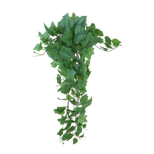Ivy Hanging Bush GR243GRN