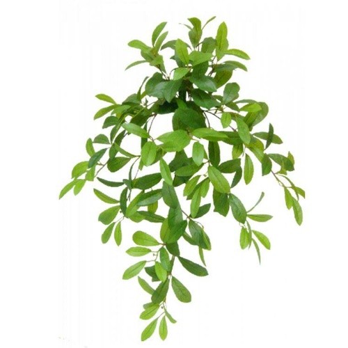 LAUREL LEAF HANGING BUSH S2727