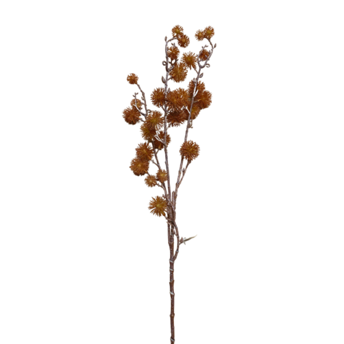 Dried Burdock Spray  S3971org