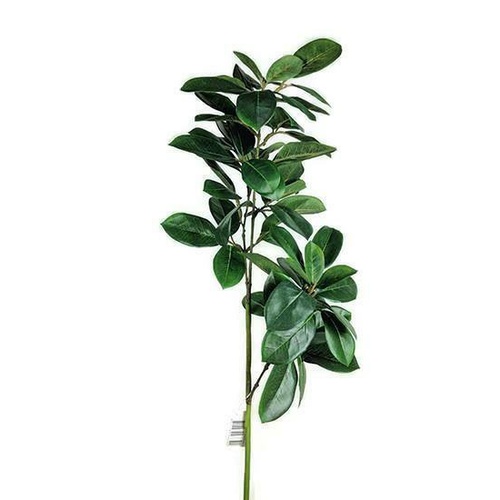Tinus Leaves spray s9865
