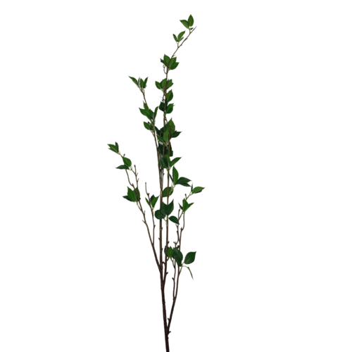 Large Tall Ivy Spray SM125